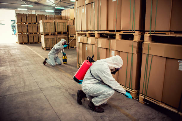 Best Pest Control Near Me  in St Lawrence, PA
