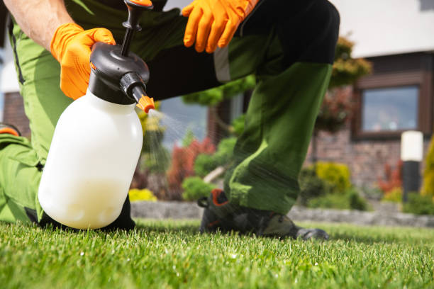 Pest Control for Restaurants in St Lawrence, PA