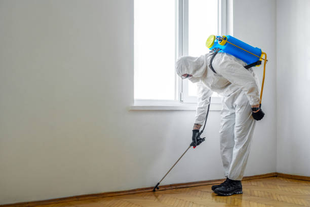 Best Affordable Pest Control Services  in St Lawrence, PA