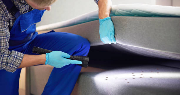 Best Flea Control Services  in St Lawrence, PA