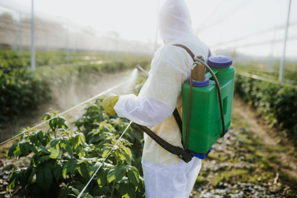 Best Pest Inspection Near Me  in St Lawrence, PA